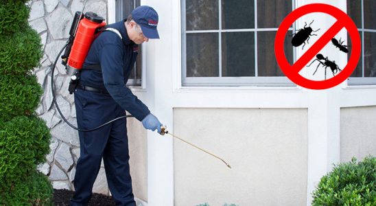 Karabük Kene İlaçlama böcek ilaçlama ve haşere kontrolü — ilaclama-tr.com